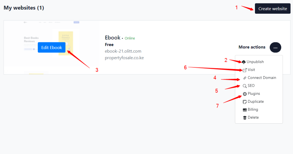 How To Use Olitt: Ultimate Step By Step Guide 8 Olitt Dashboard