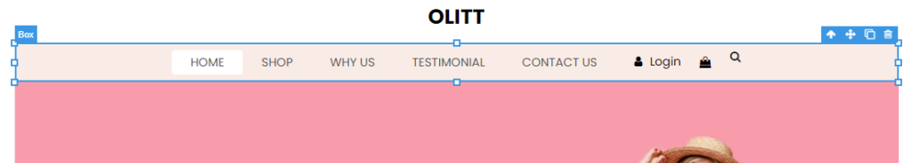 How To Use Olitt: Ultimate Step By Step Guide 10 Website Editing Tools